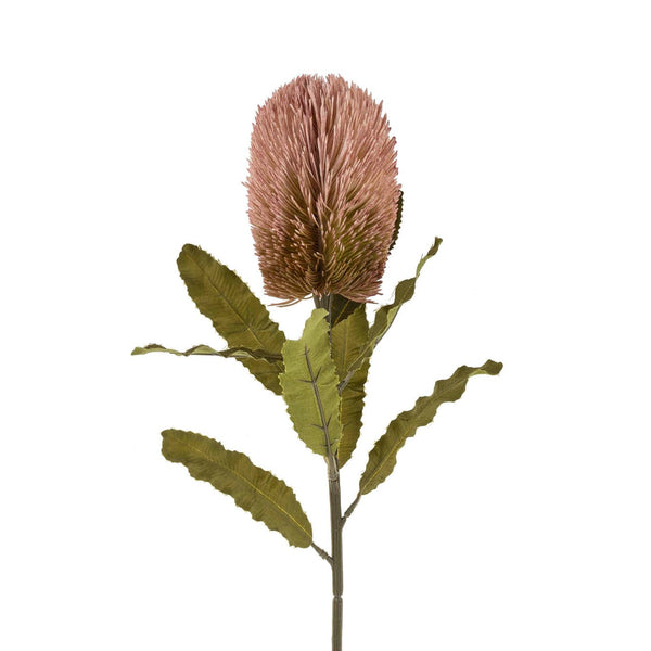 Banksia Stem - Blush