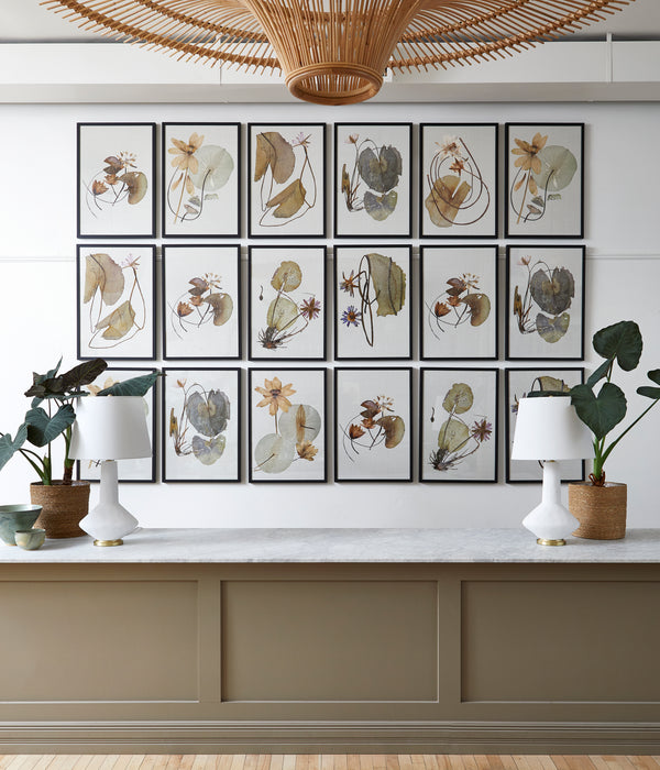 Framed Herbarium Pressings - Eight Styles Available