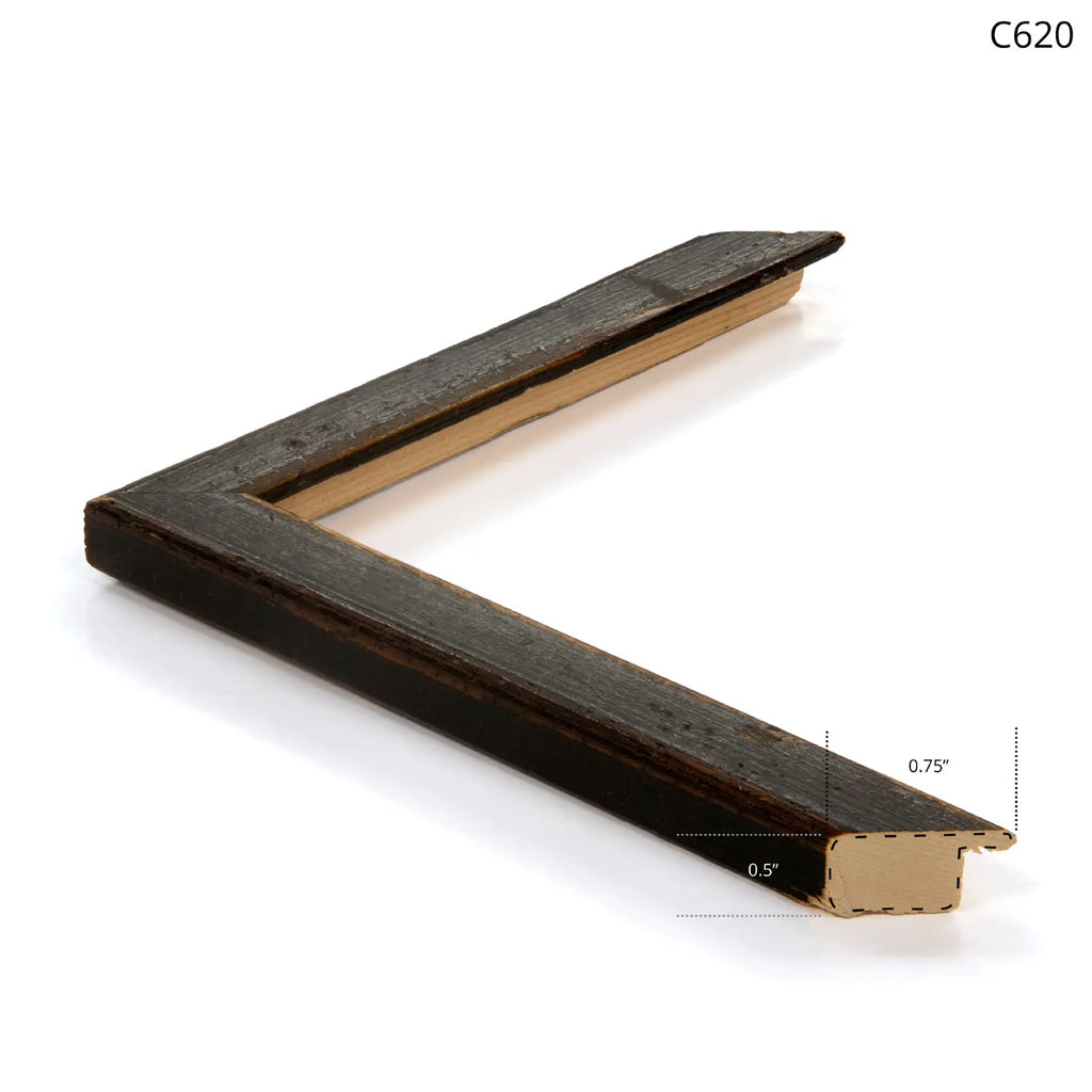 Shy Model 1900 - Small / Black Frame