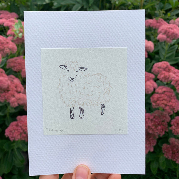 Little Lamb Card