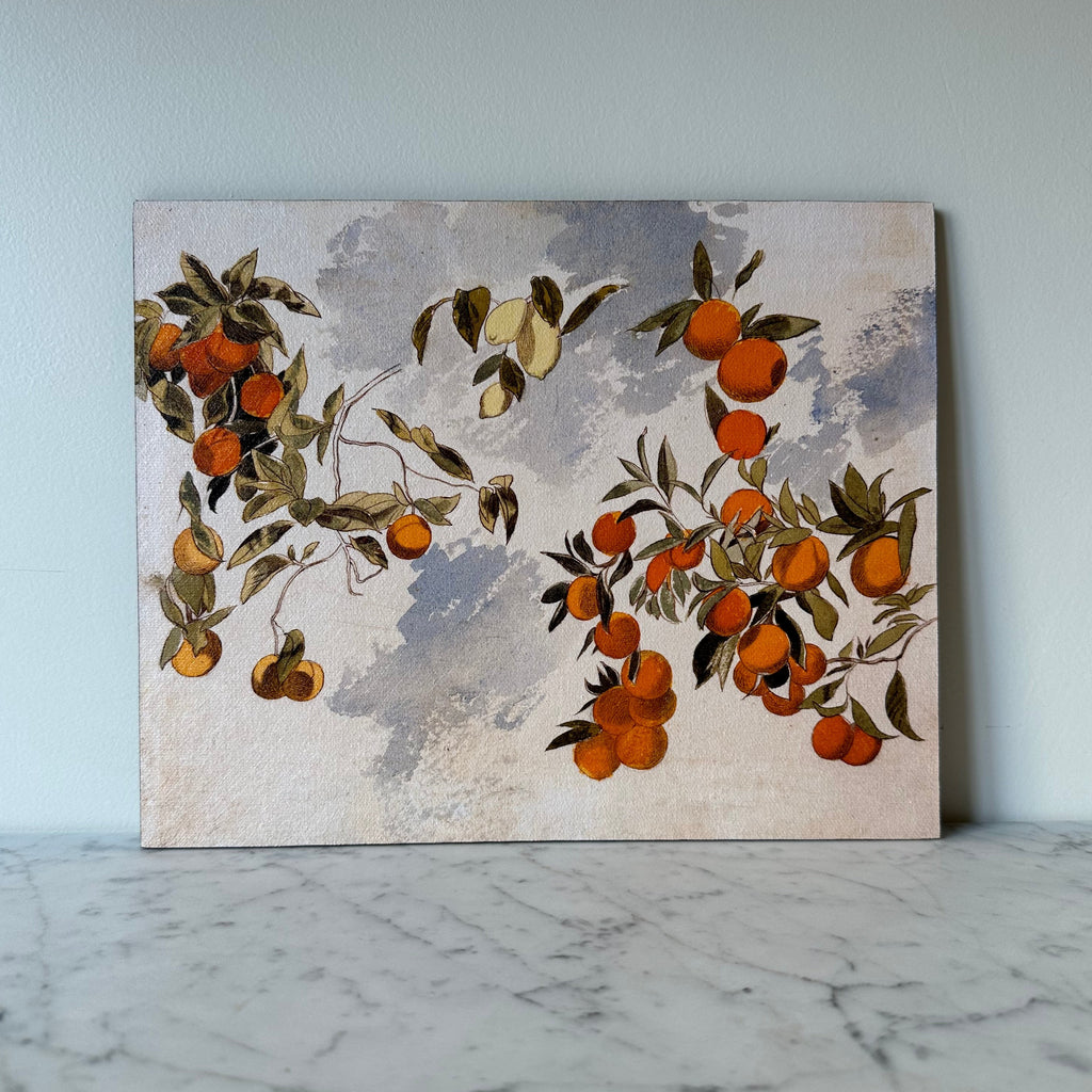 Artist Board - Orange Tree Branches