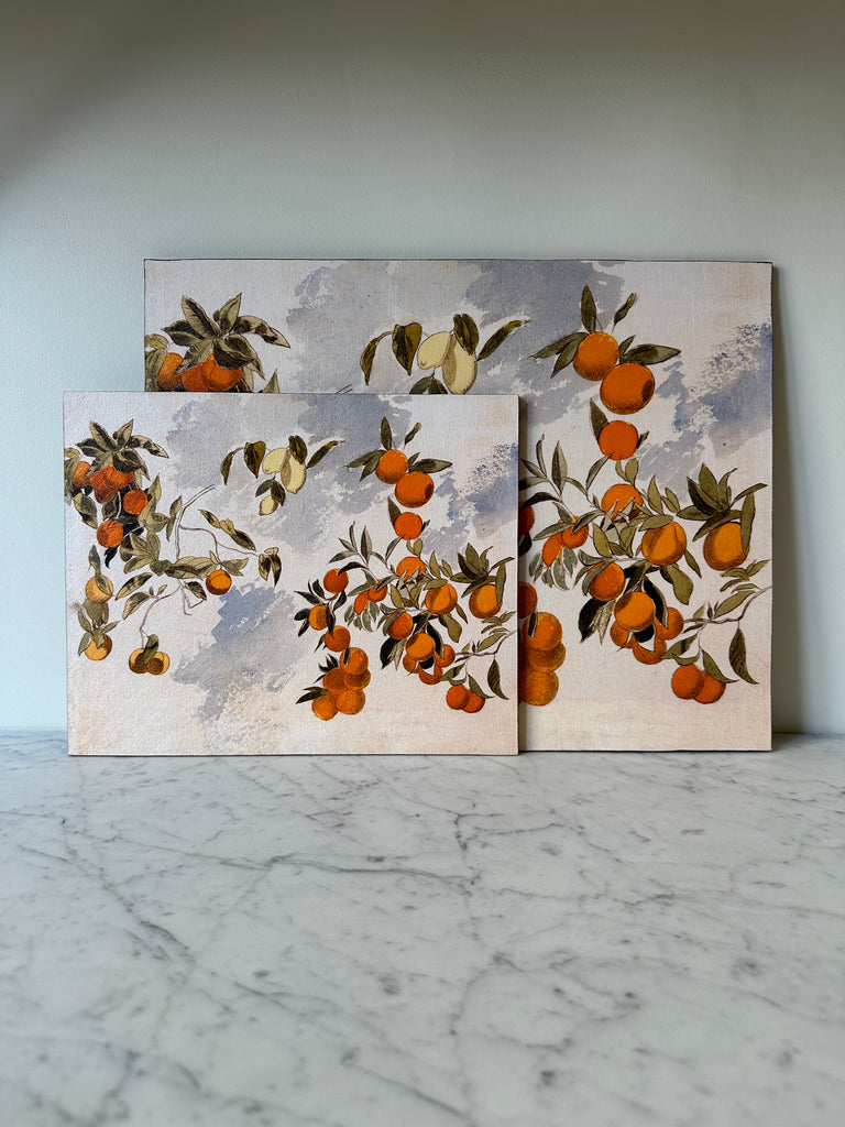 Artist Board - Orange Tree Branches
