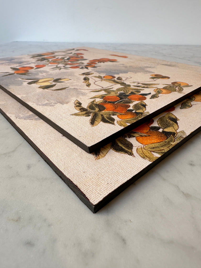 Artist Board - Orange Tree Branches