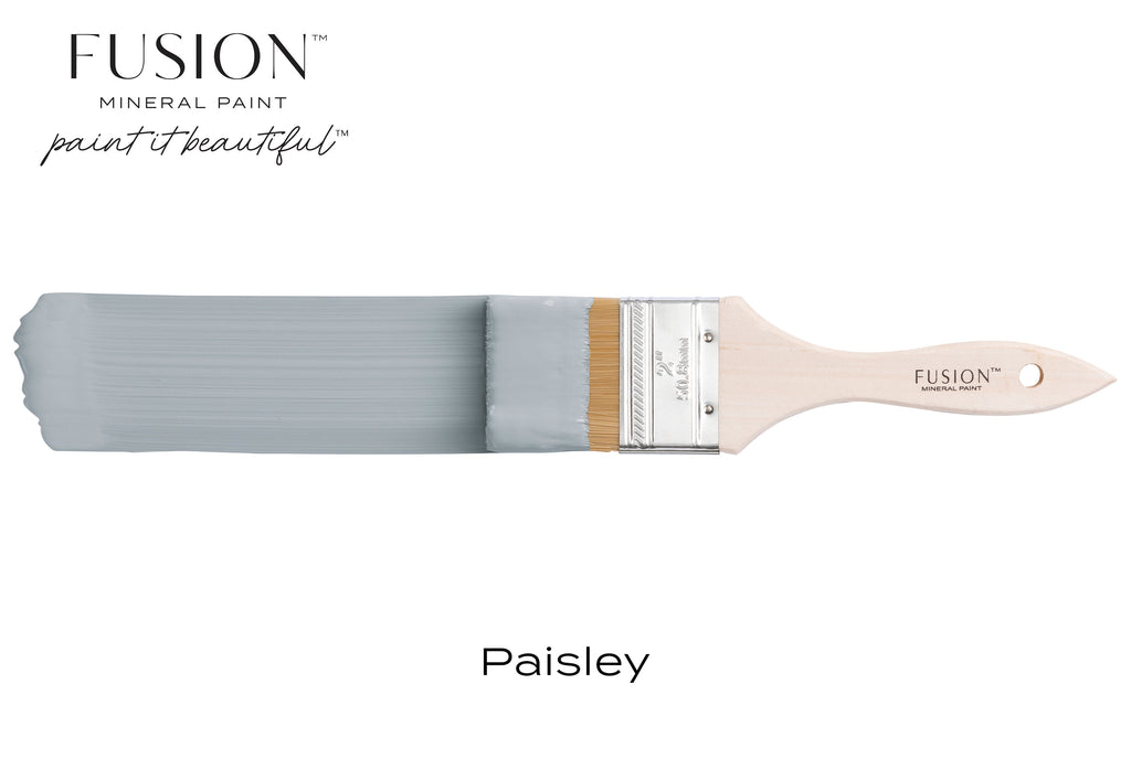 Fusion Paint: Paisley (Two Sizes Available)