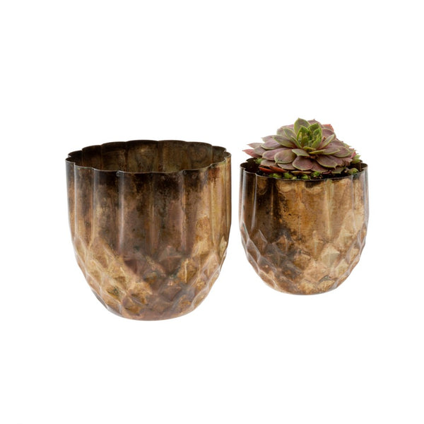 Patisserie Pots - Two Sizes Available