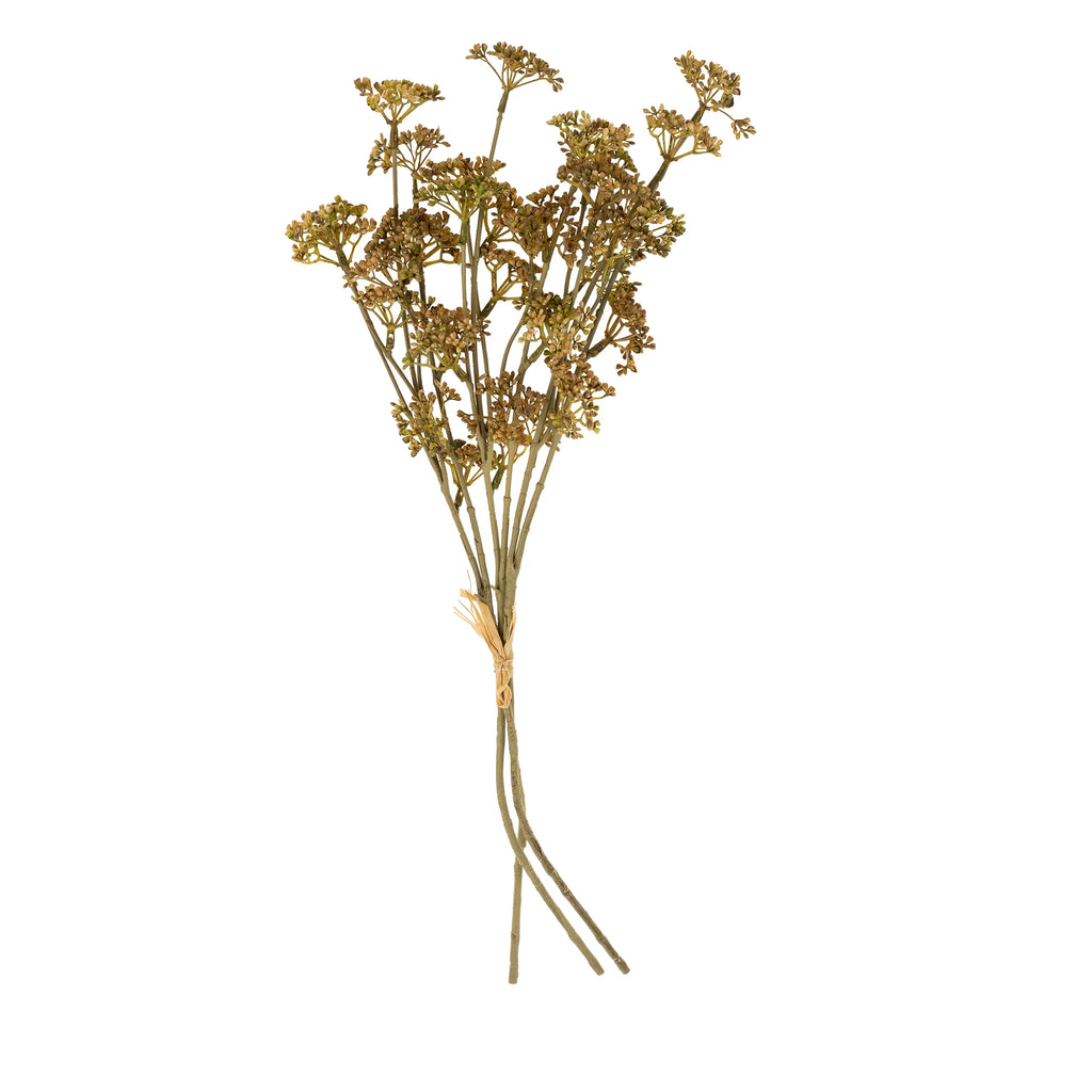 Meadow Grass Stem - Autumn