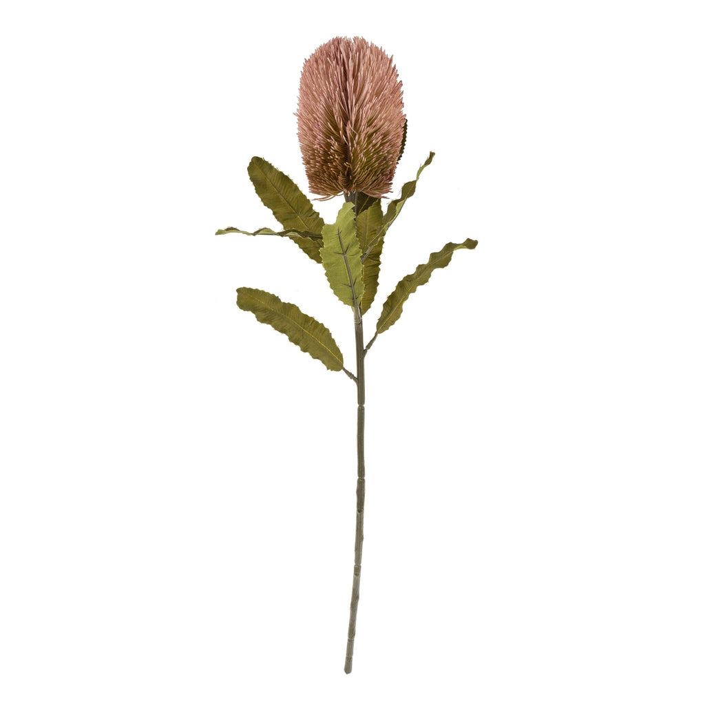 Banksia Stem - Blush