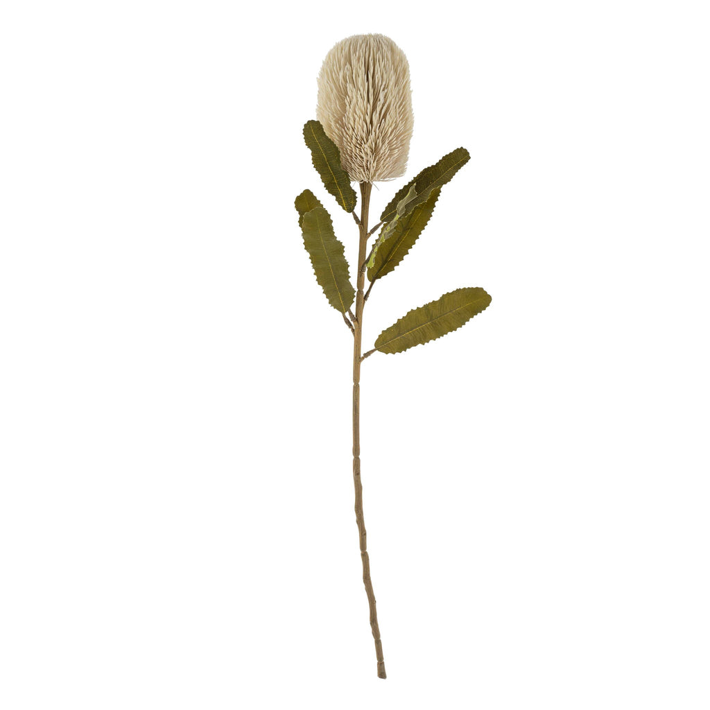 Banksia Stem - Cream