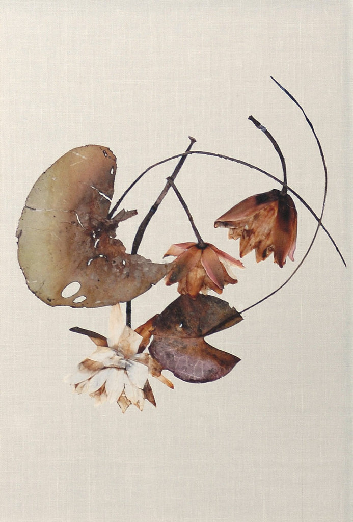 Herbarium Pressings - Eight Styles Available