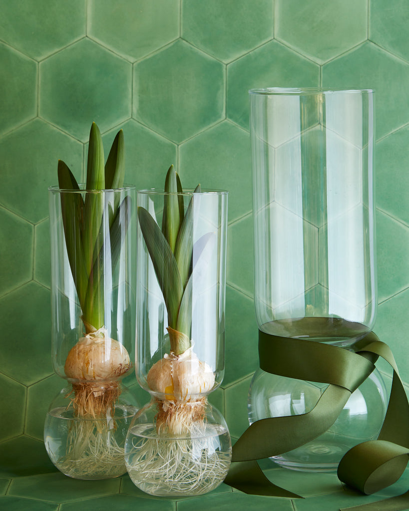 Bulb Vase - Wide