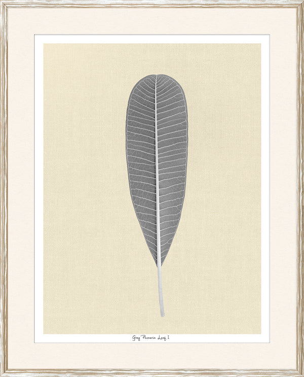 Plumeria Leaf - Grey (Two Sizes Available)