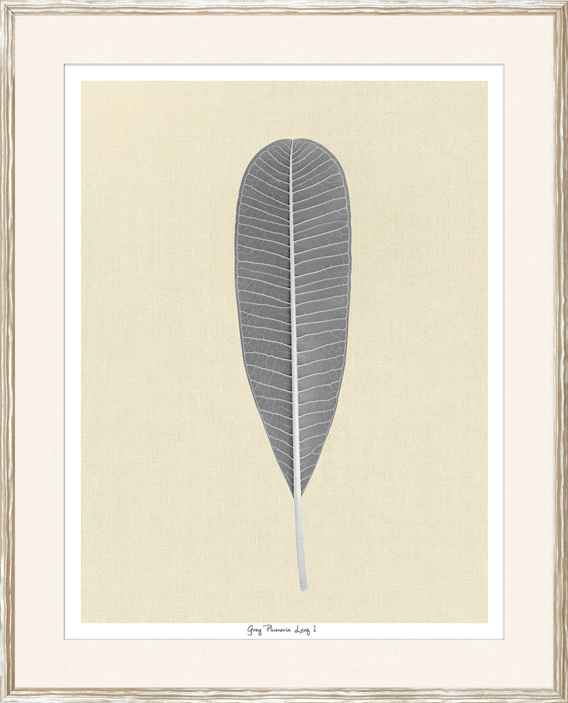 Plumeria Leaf - Grey (Two Sizes Available)