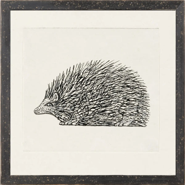 Gestel, Hedgehog - 1900