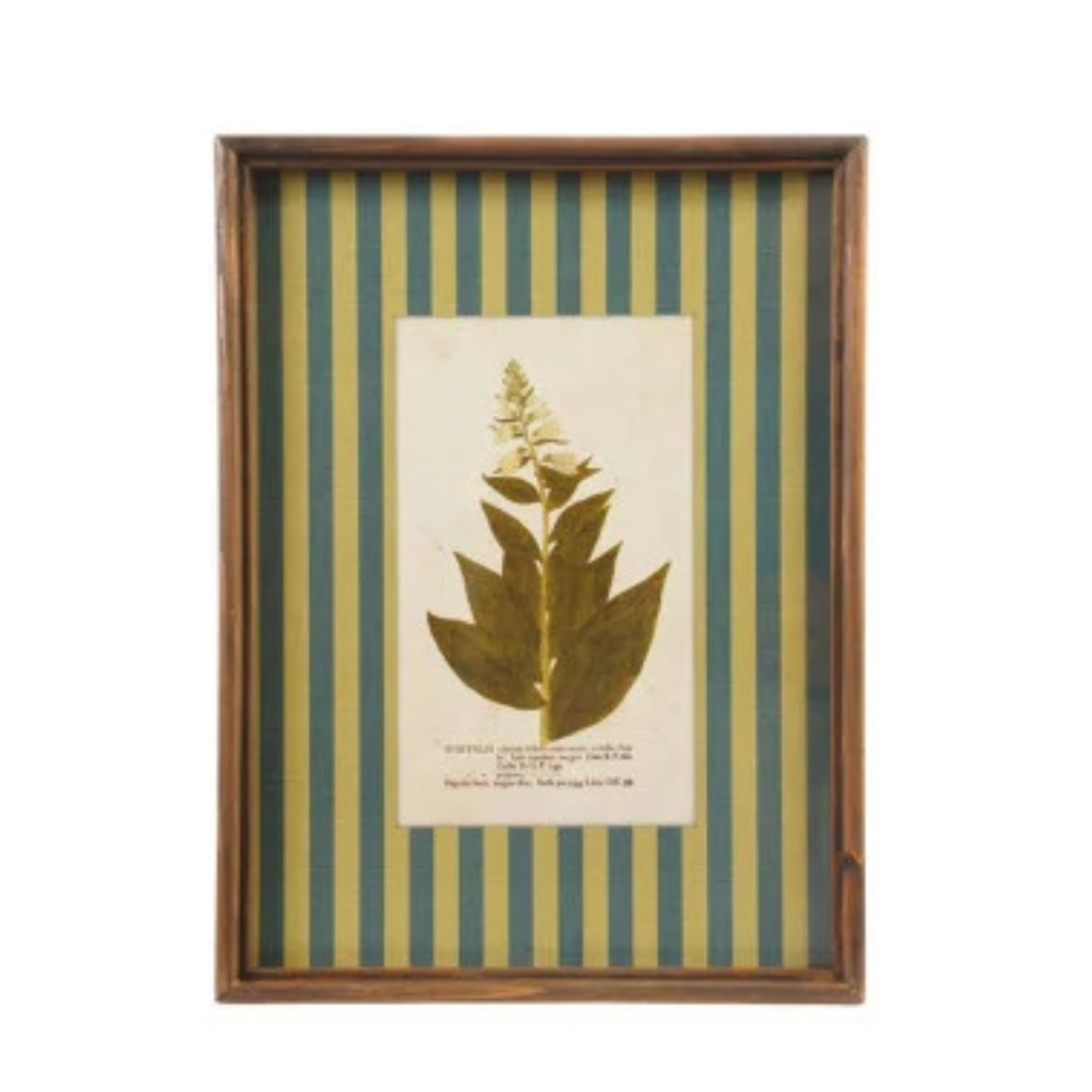 Framed Stripe Botanical Prints - Nine Styles Available