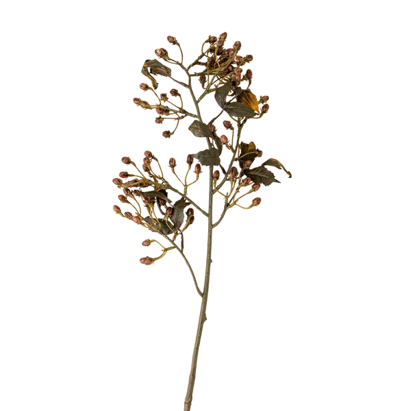 Hipericum Stem - 33"H