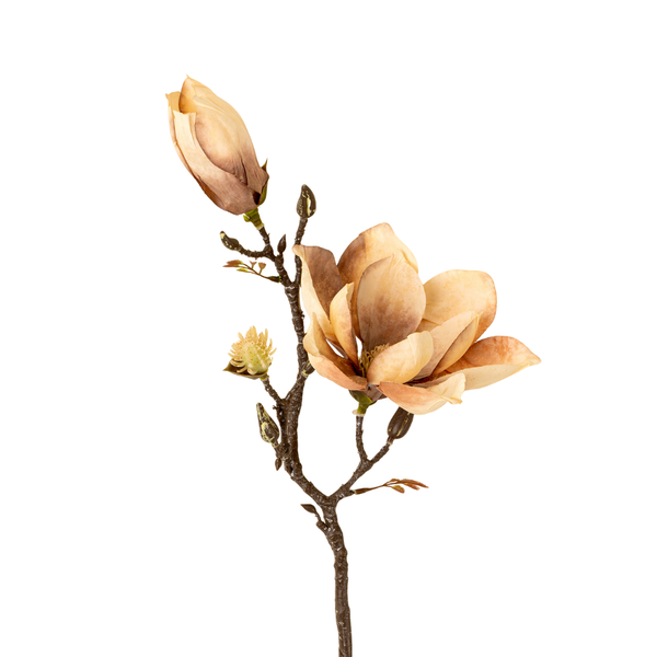 Magnolia Branch - 24"H
