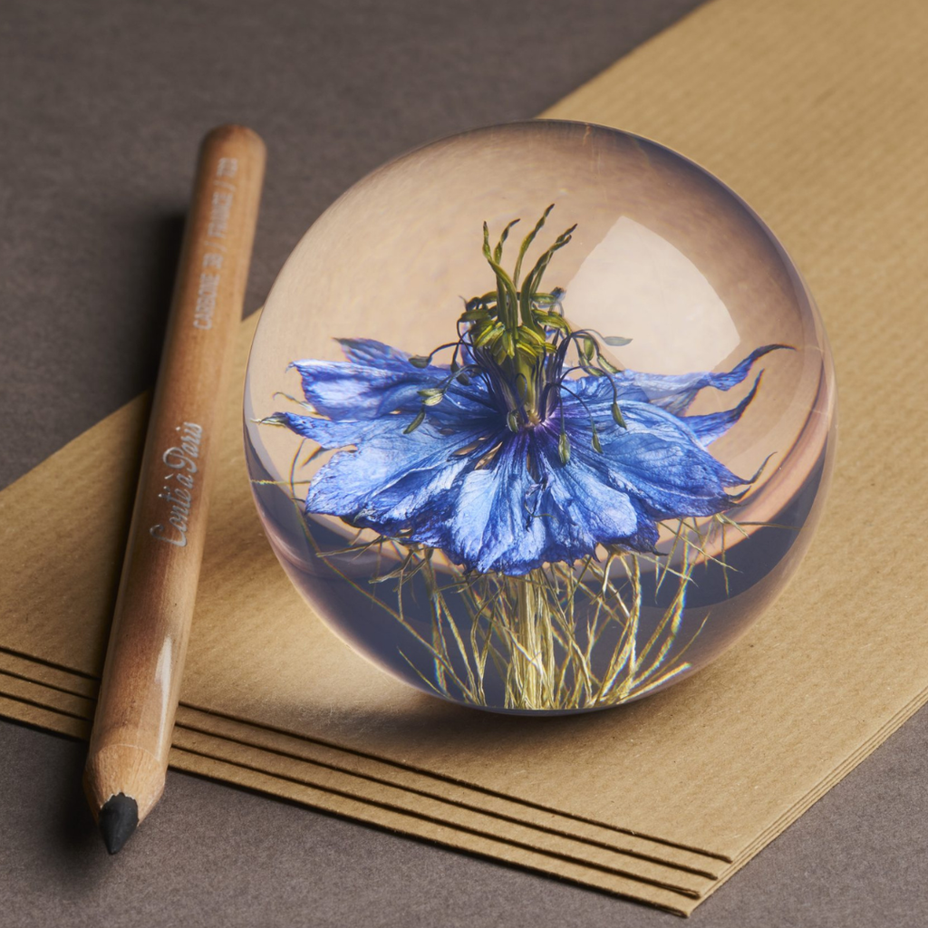 Nigella Paperweight (Two Sizes Available)