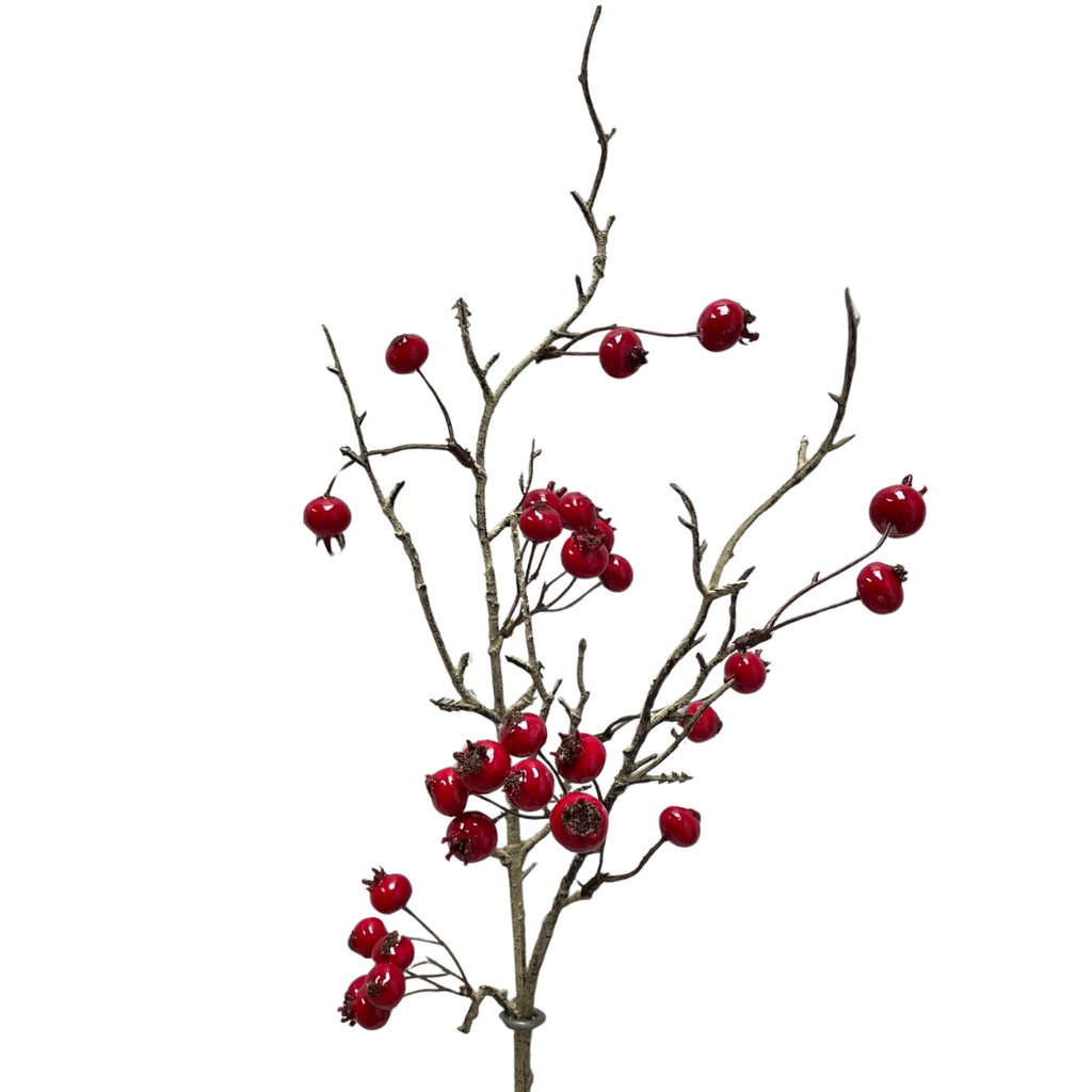 Red Berry Stem - 32"