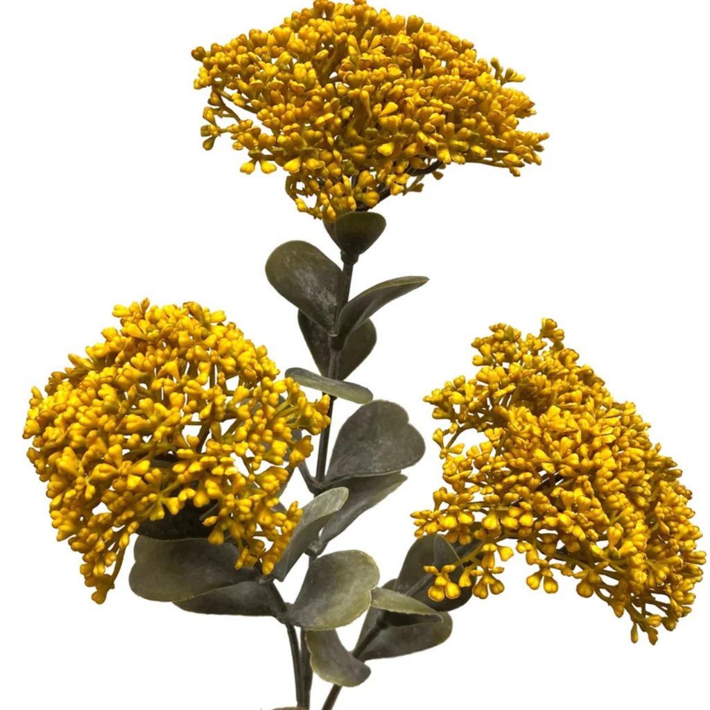 Seedum Stem - Mustard