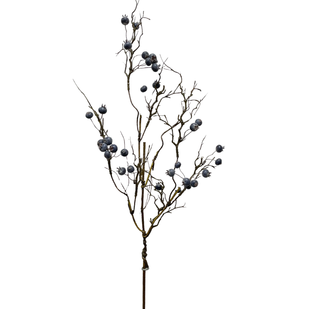 Blueberry Stem - 35"