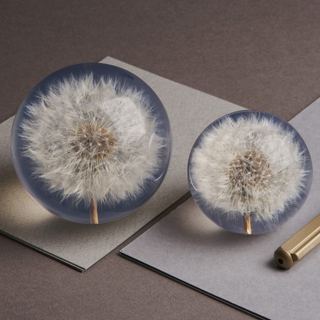Dandelion Paperweight (Two Sizes Available)