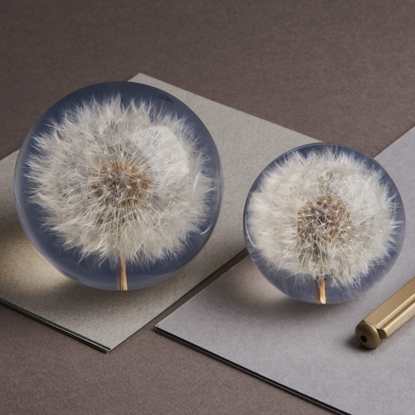 Dandelion Paperweight (Two Sizes Available)