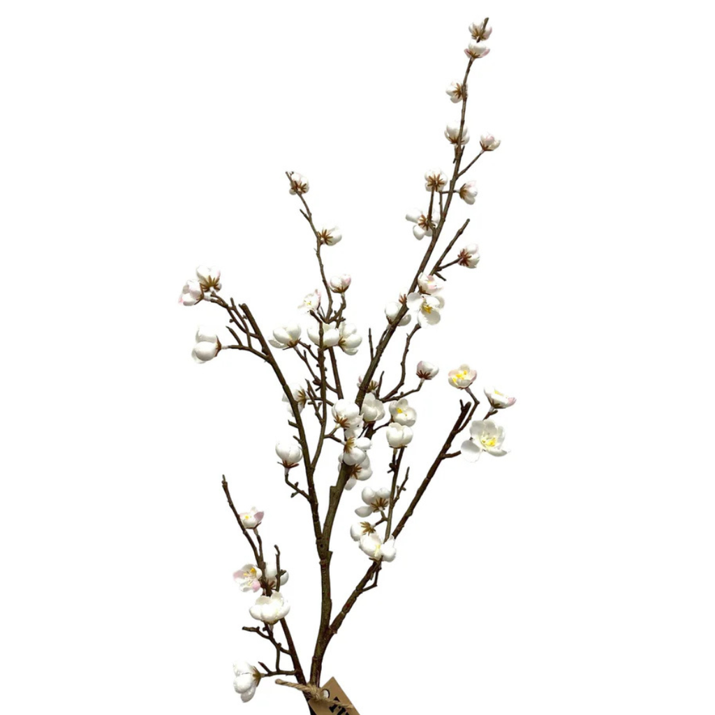 Quince Blossom Stem - 34" H