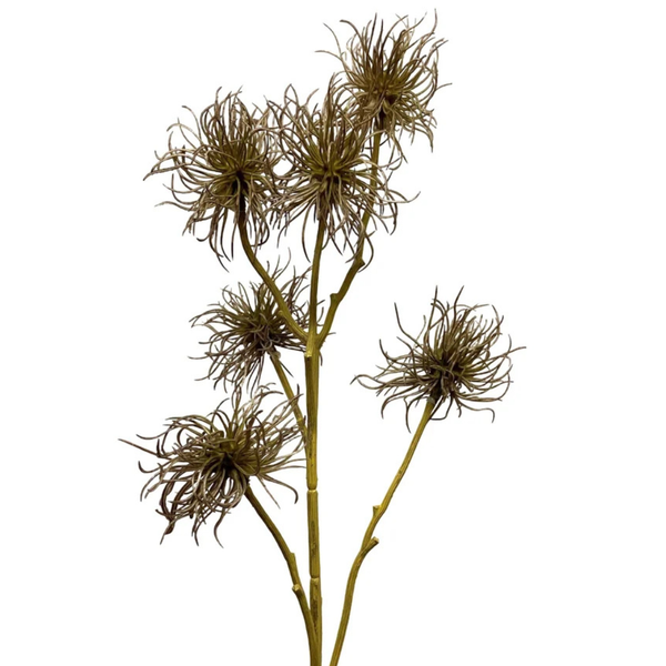 Clematis Seed Stem - Lilac