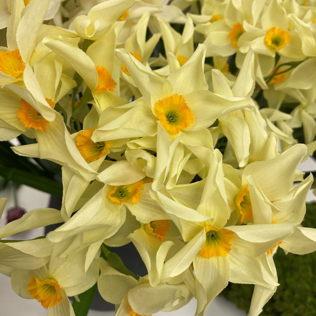 Narcissus Stem (Two Colours Available)