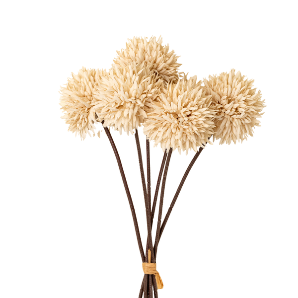 Mini Allium Bouquet - Cream