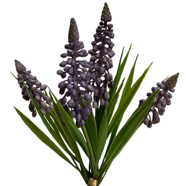 Lavender Muscari Stem Bundle - 10.5"H