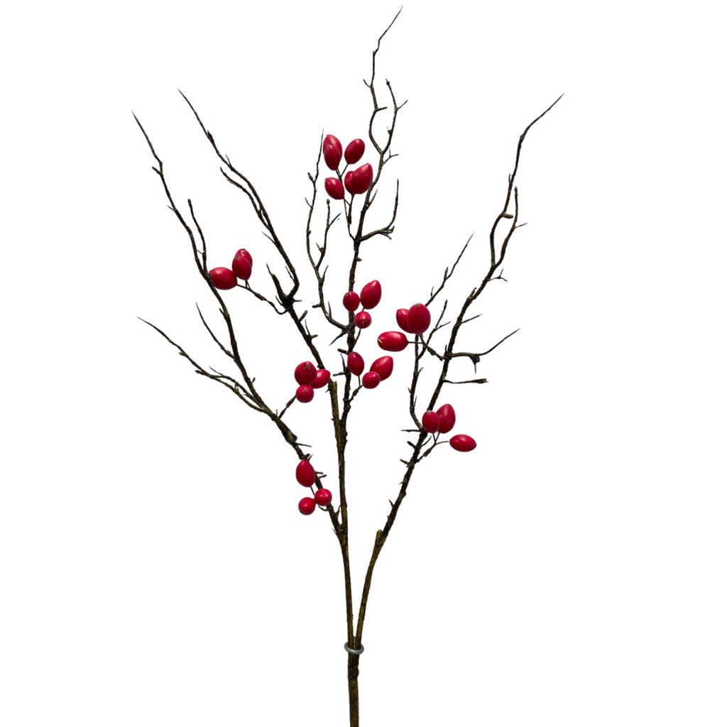 Rosehip Berry Stem - 42"