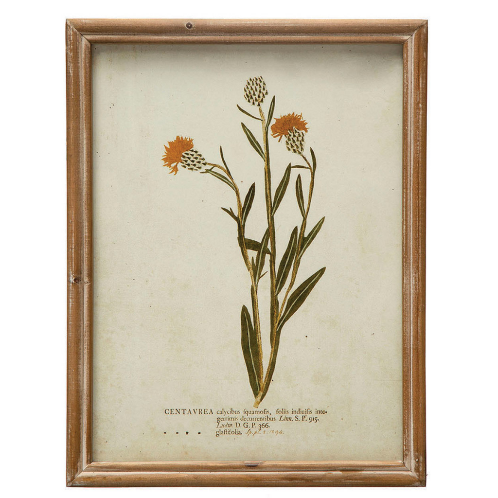 Framed Wildflower Prints - Six Styles Available