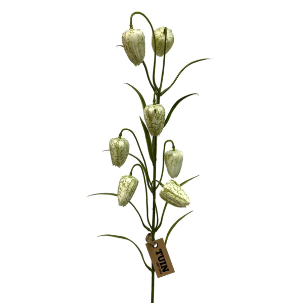Fritillaria Stem (Three Colours Available)