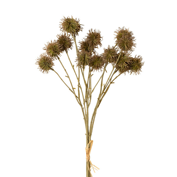 Chestnut Ball Stem (Two Colours Available)