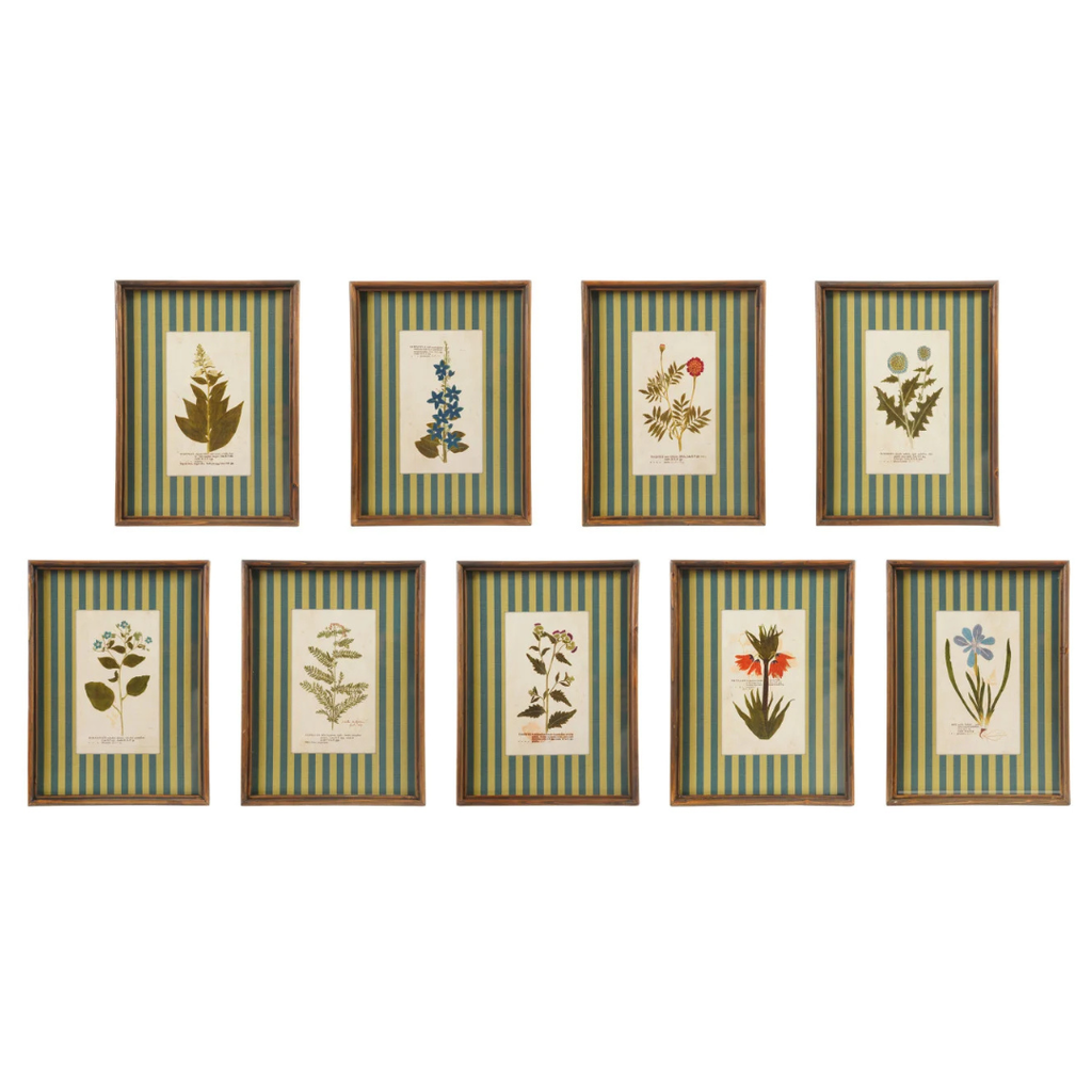 Framed Stripe Botanical Prints - Nine Styles Available
