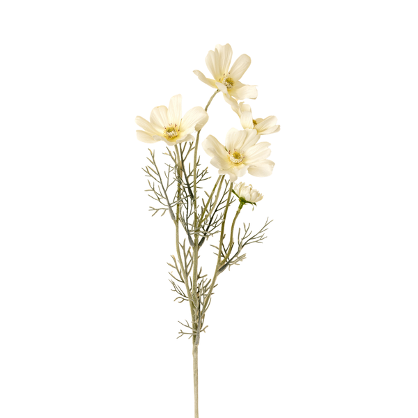 White Cosmos Stem - 24"H