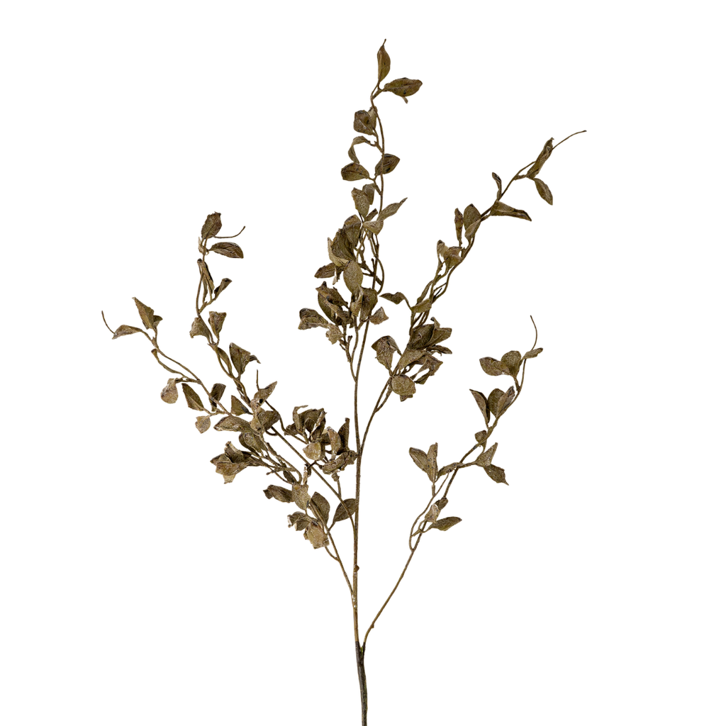 Smoked Eucalyptus Stem - 36"H