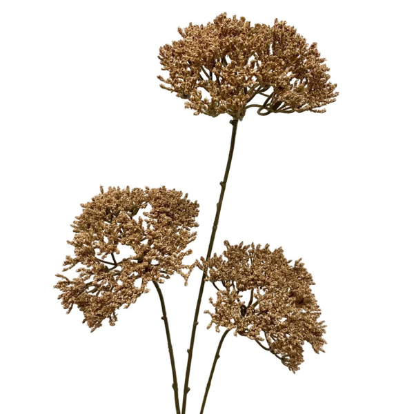 Queen Anne's Lace Stem (Two Colours Available)