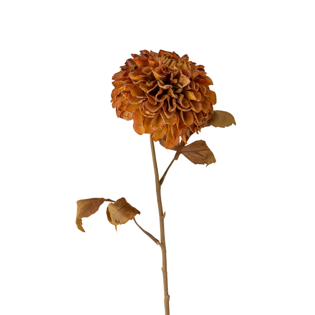 Pompom Dahlia Stem - 28"H