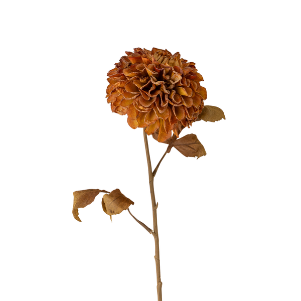 Pompom Dahlia Stem - 28"H