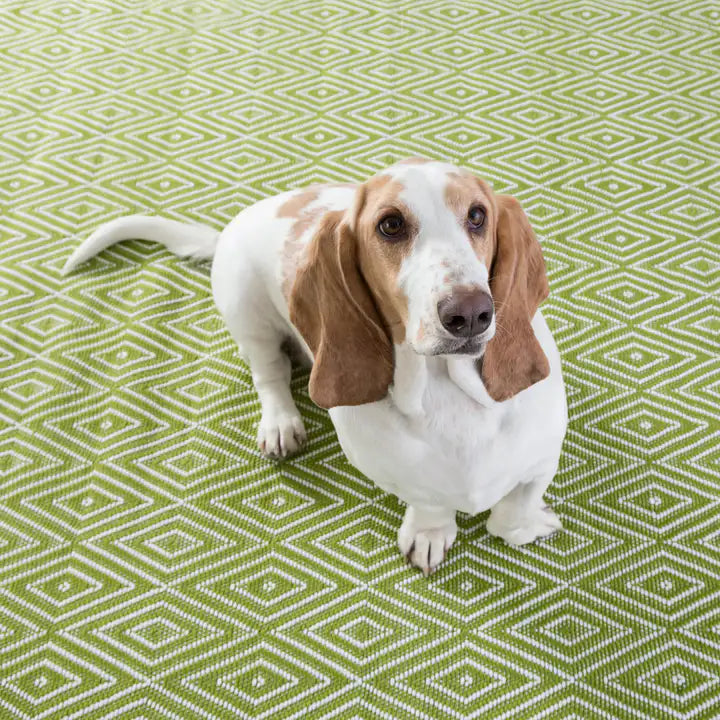Dash & Albert - Diamond Sprout/White Handwoven Indoor/Outdoor Rug