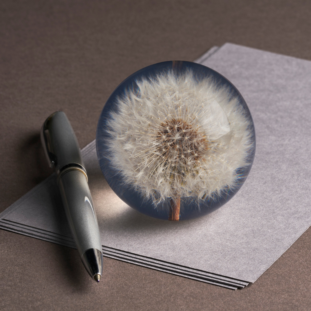 Dandelion Paperweight (Two Sizes Available)