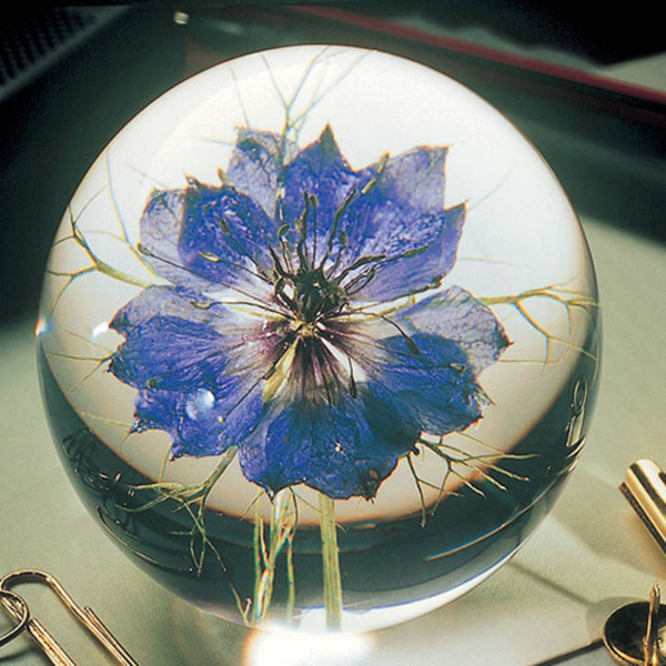 Nigella Paperweight (Two Sizes Available)