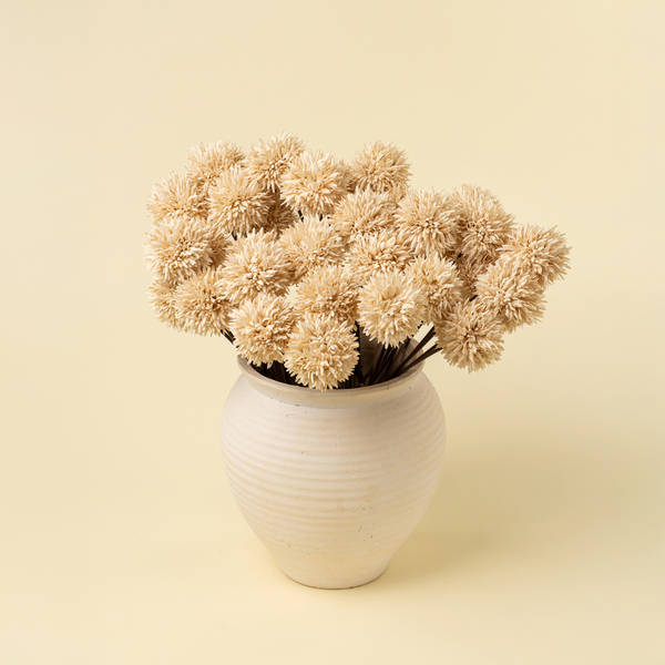 Mini Allium Bouquet - Cream