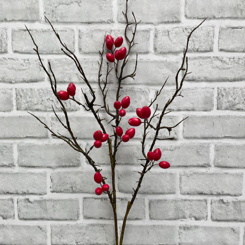 Rosehip Berry Stem - 42"