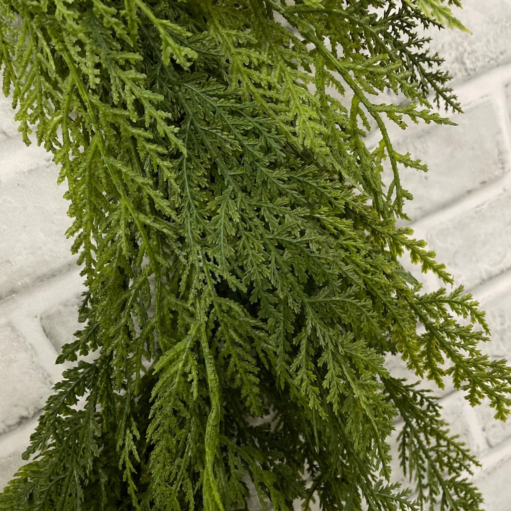 Cypress Wreath - 24"D