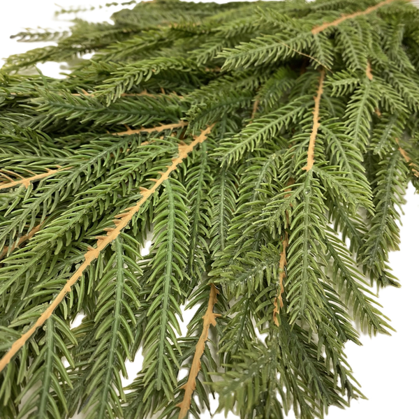 Norfolk Pine Hanging Branch - 28"