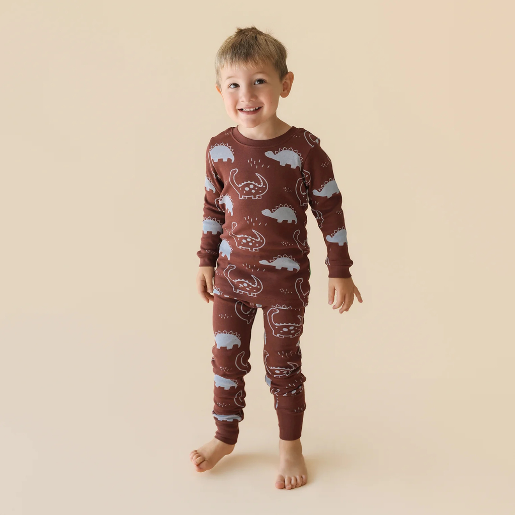 Parade Organics 'My Jammies' Organic Kids' Pajamas - Dinosaurs