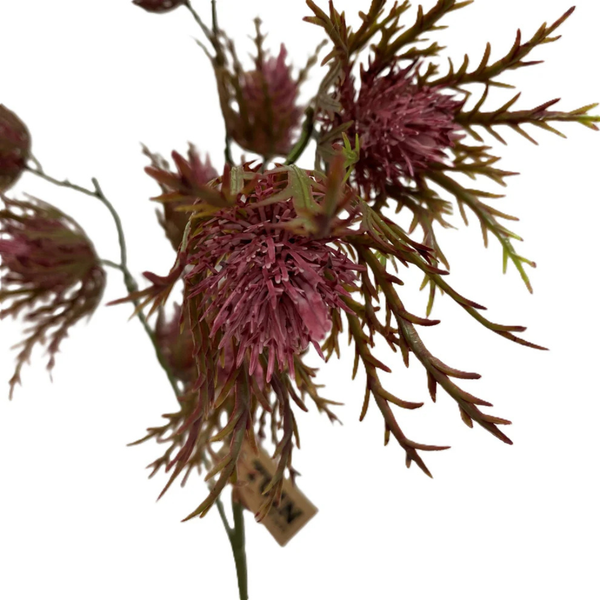 Sea Holly Stem - Mauve